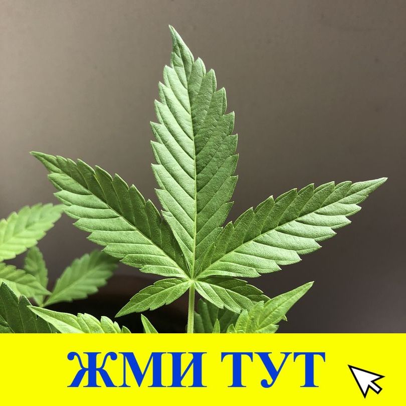 Купить наркотики в Ишиме